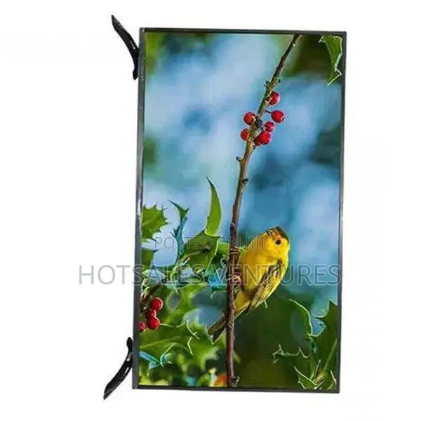 Quality Sigma 55 Inch Qled 4K Frameless TV With Icast - STV-KQ55V6-S