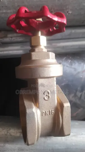 3" Brass Gate Valve Threaded