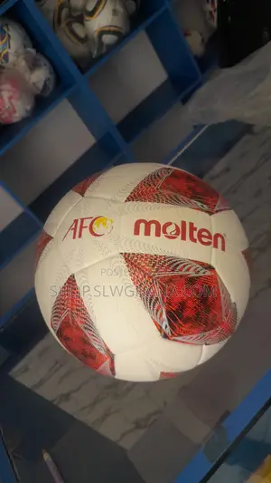 Molten Footballs