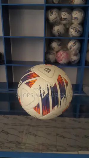 Professional Grade Footballs