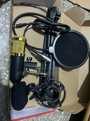 BM800 Studio Condenser Microphone