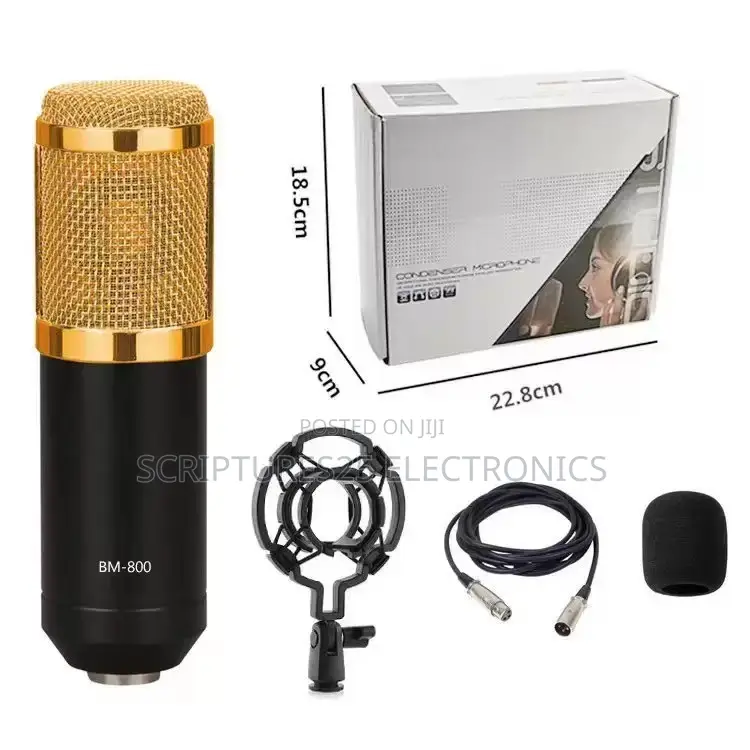 BM800 Studio Condenser Microphone