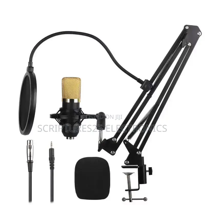 BM800 Studio Condenser Microphone