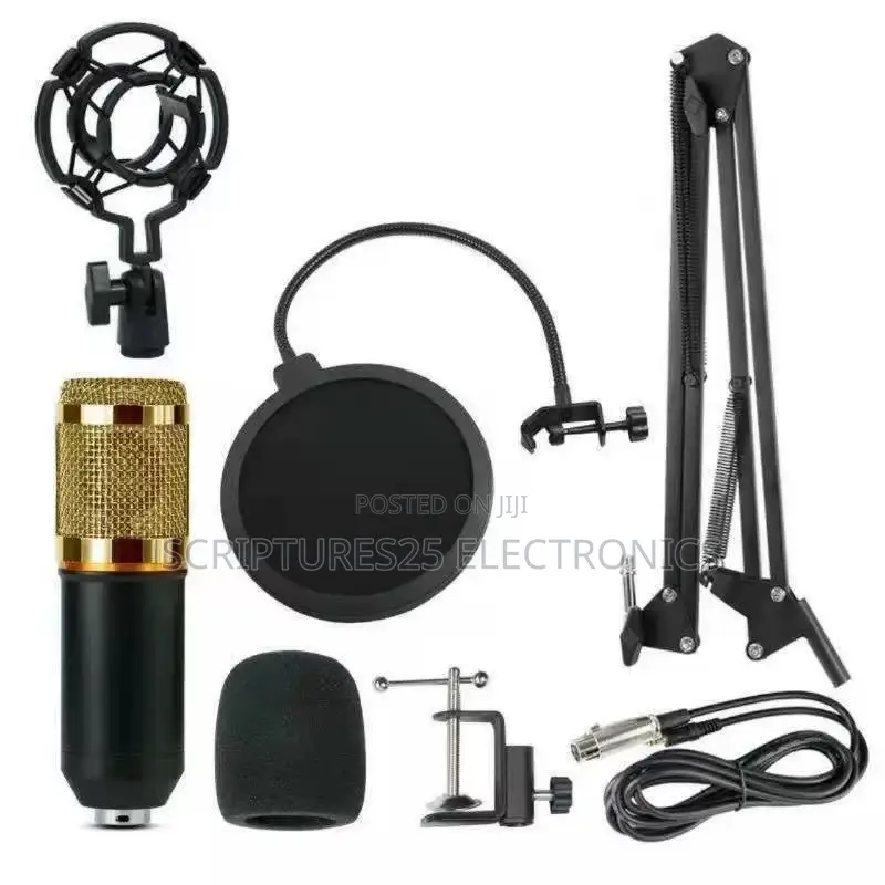 BM800 Studio Condenser Microphone