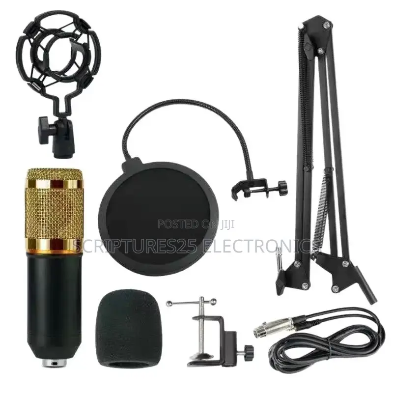 BM800 Studio Condenser Microphone