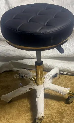 Adjustable Swivel Salon Stool With Wheels