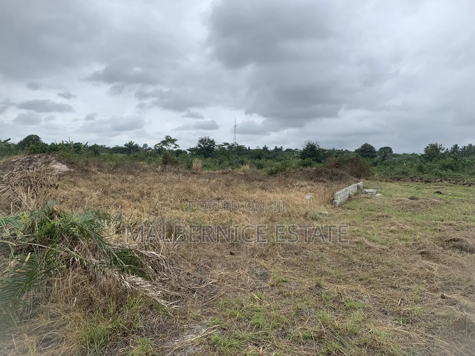 Own a Land