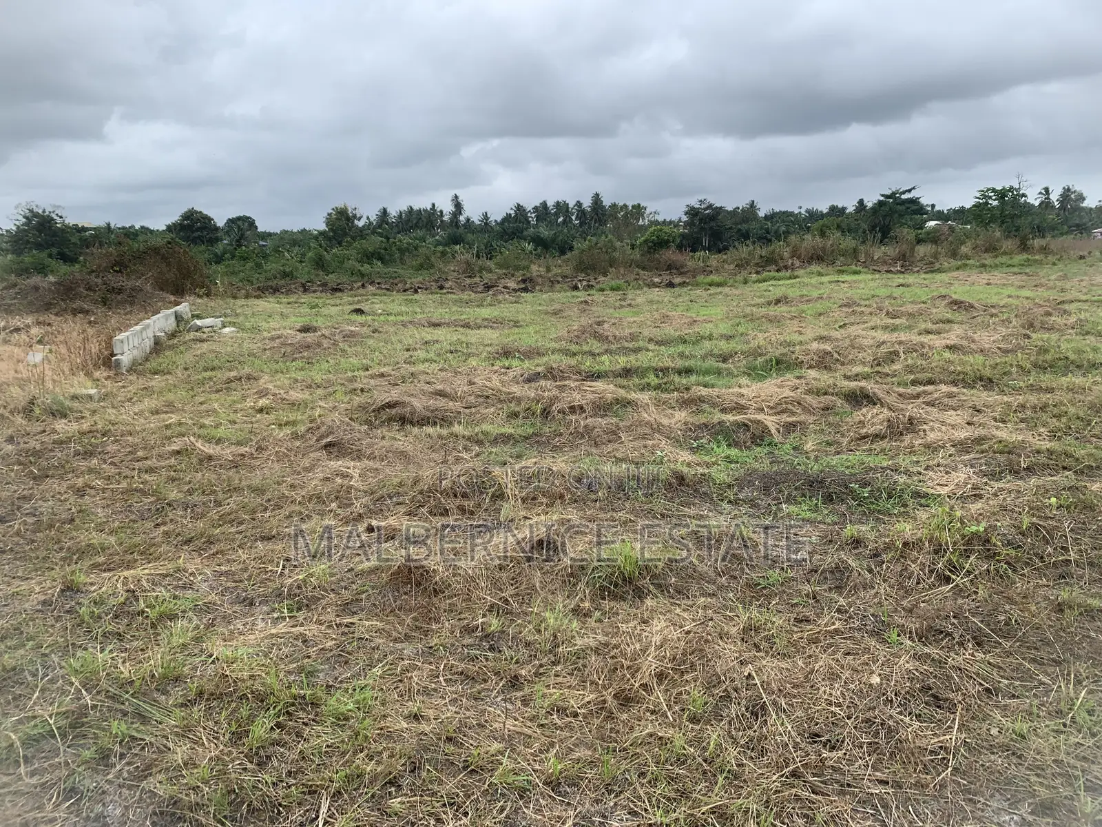 Own a Land