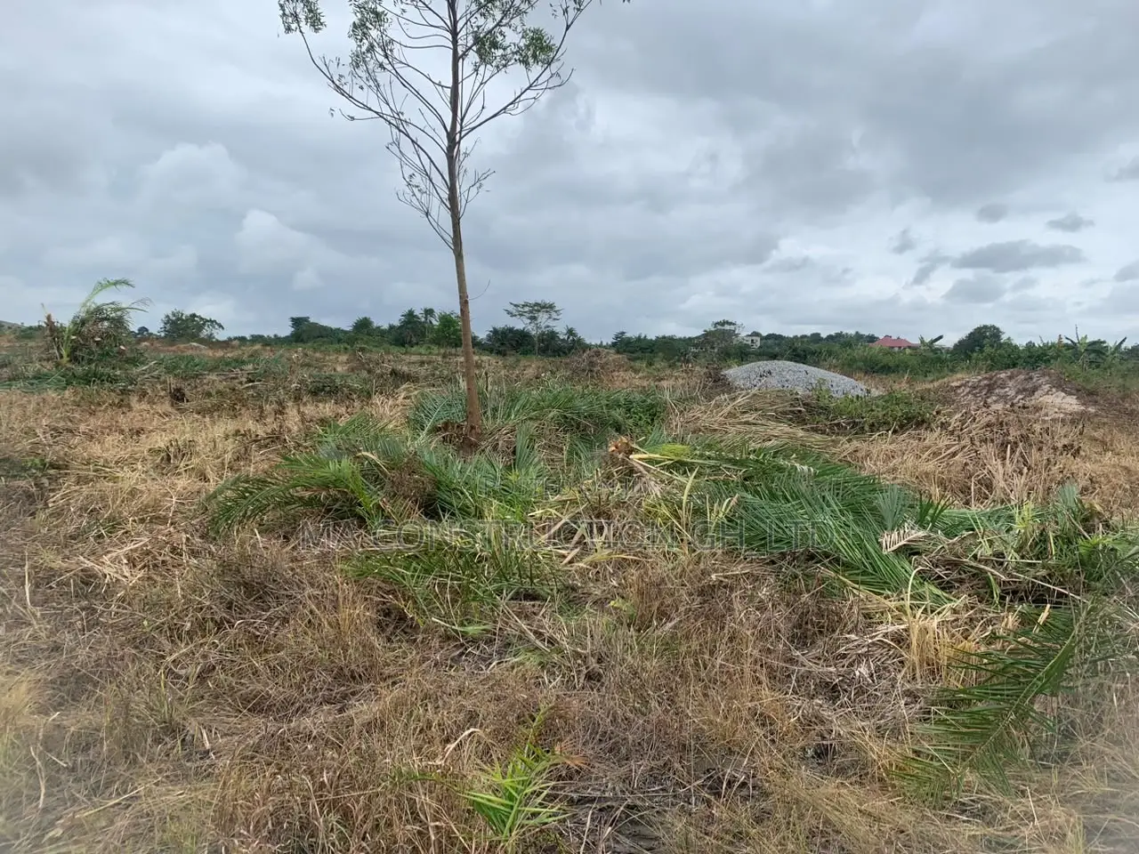Land and Properties