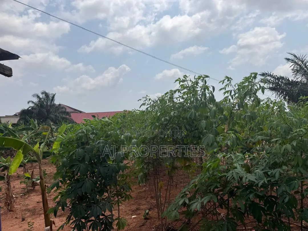 1 Acre of Land at Abokobi