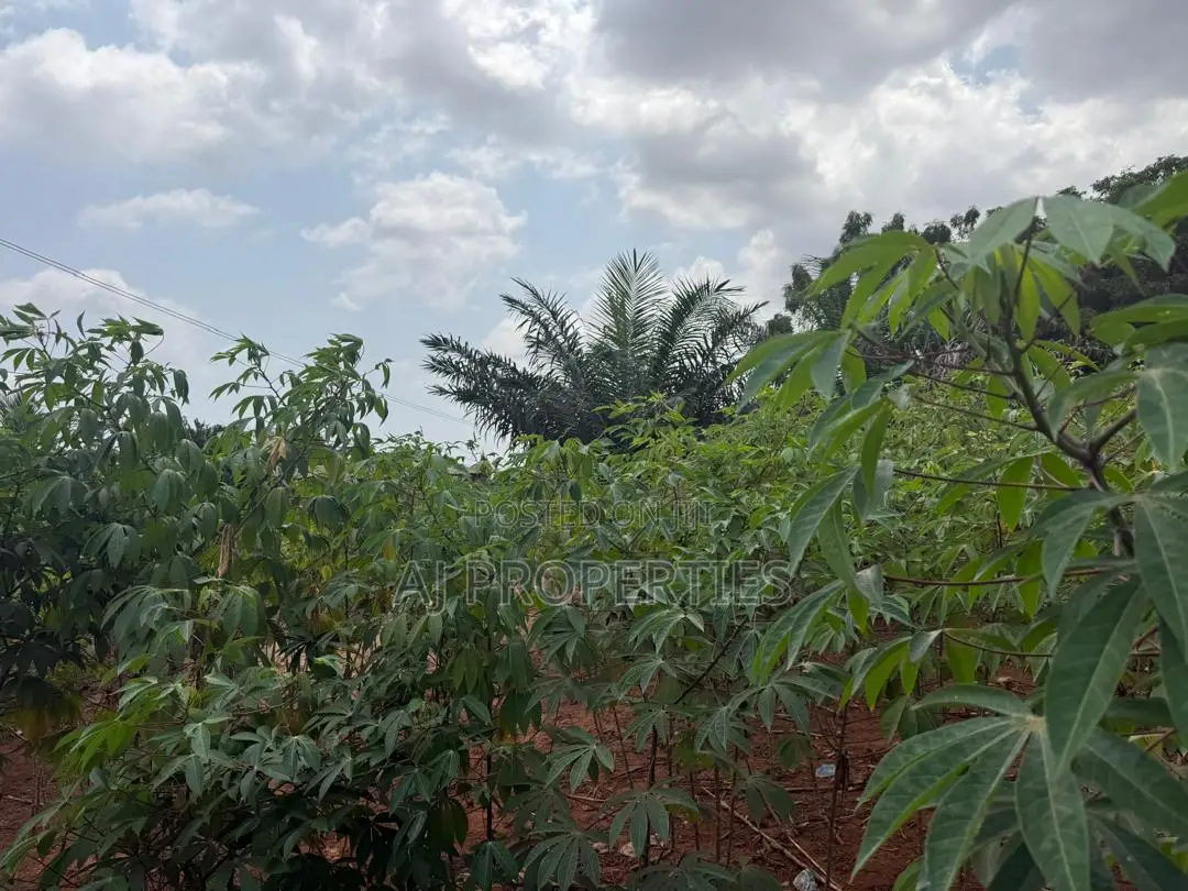 1 Acre of Land at Abokobi
