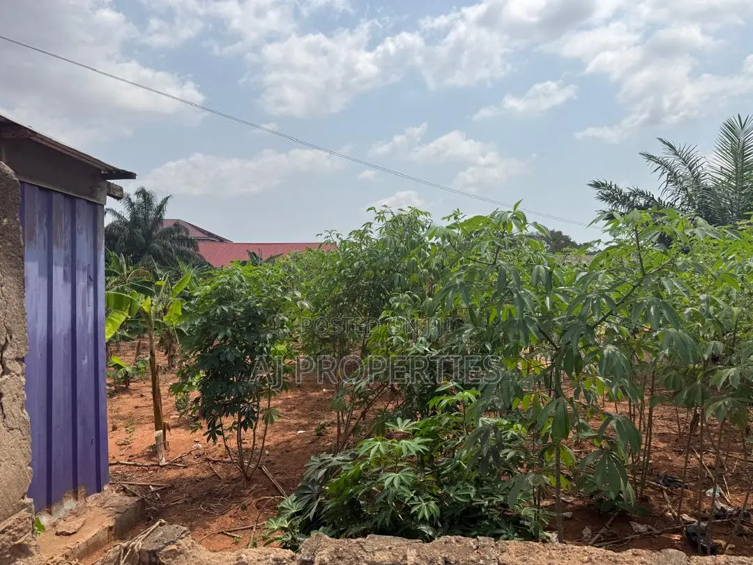 1 Acre of Land at Abokobi