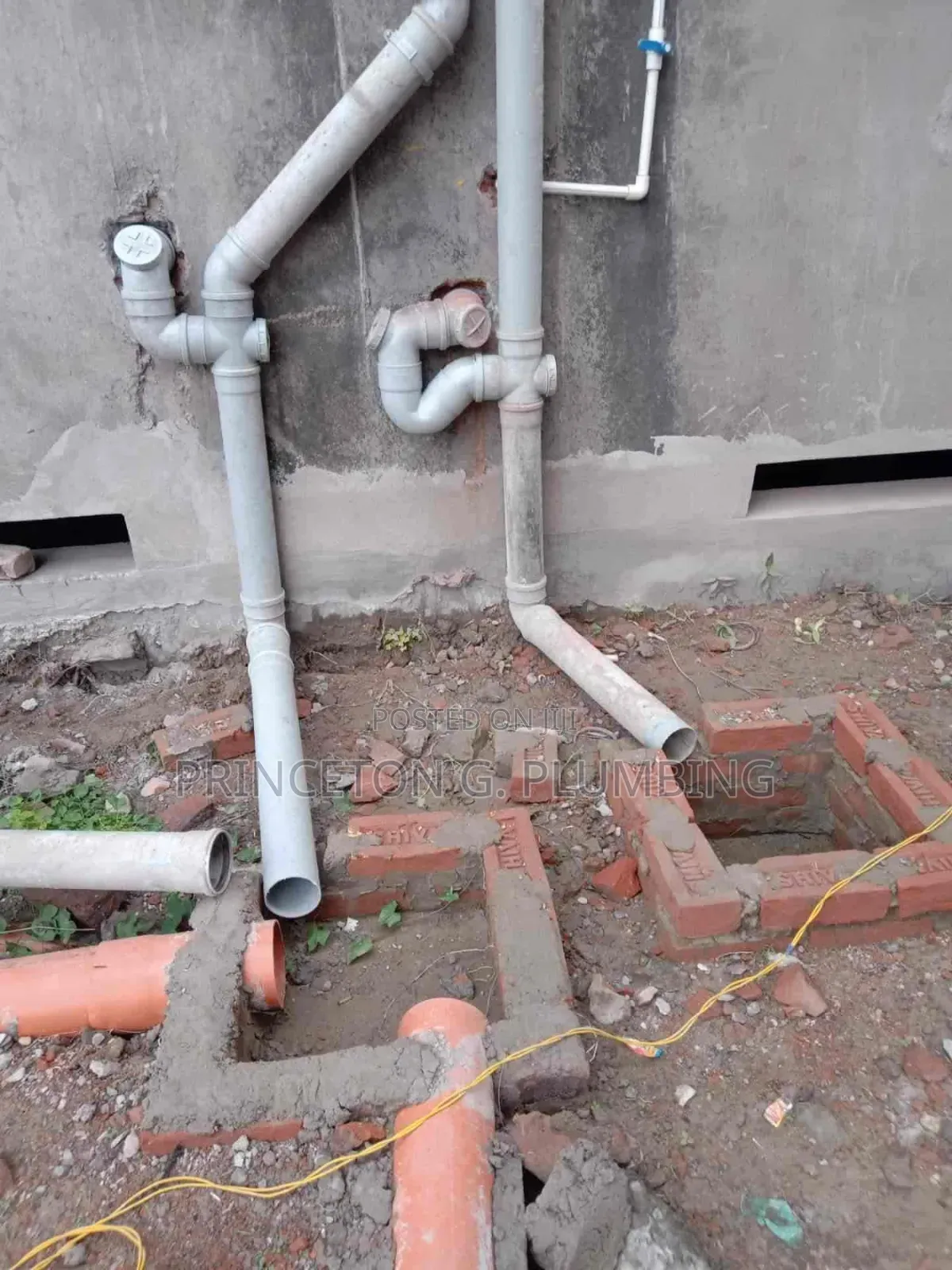 Professional Plumber