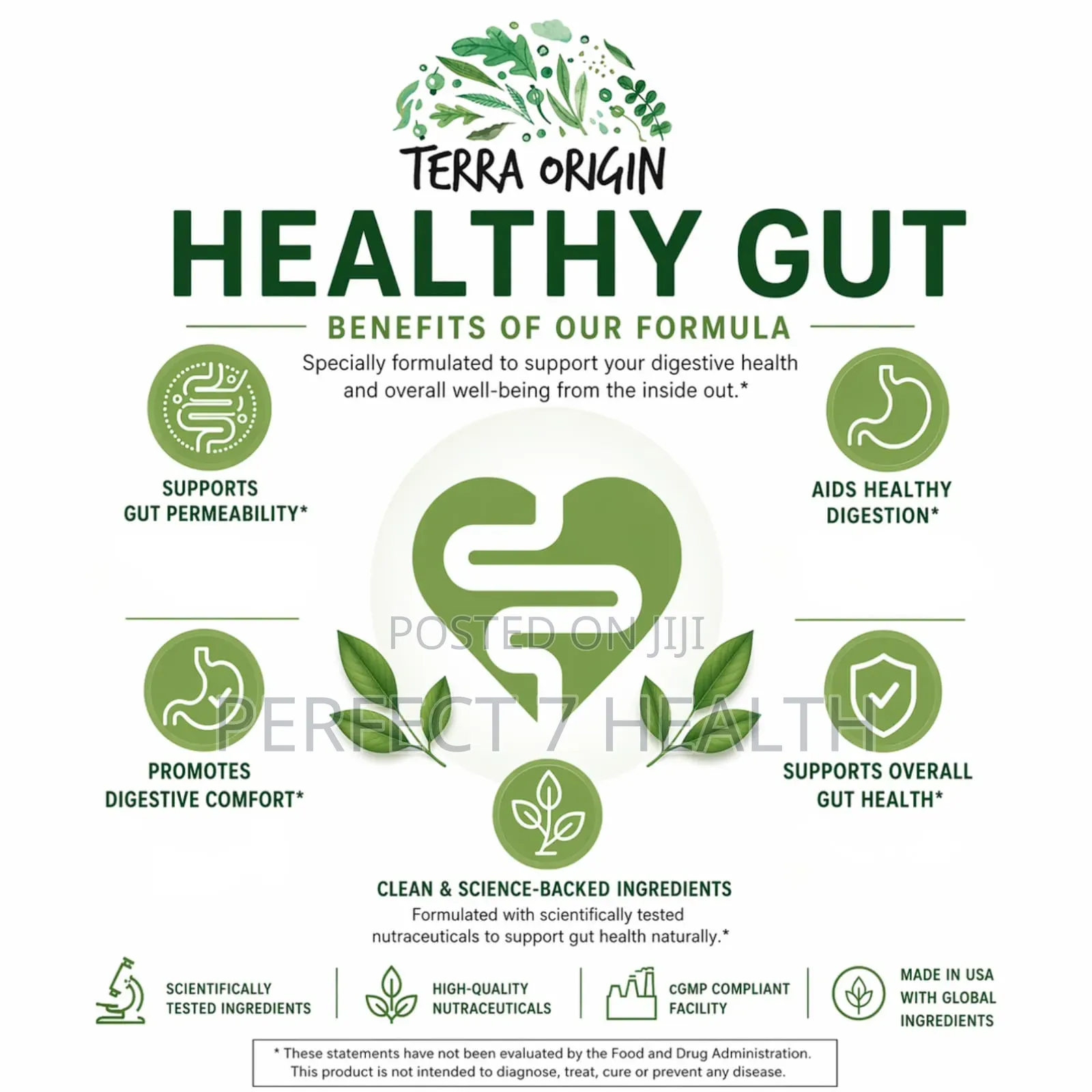 Terra Origin, Healthy Gut, Digestive & Stomch Health, 8.57 Oz (243 G)
