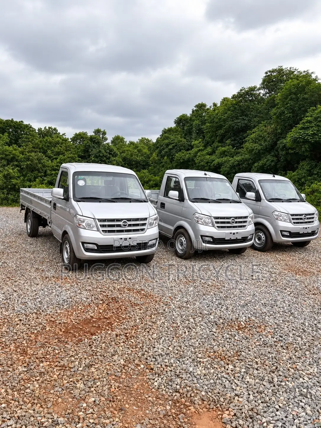 Brand New Dongfeng Mini Pickup Truck 2024 Grey