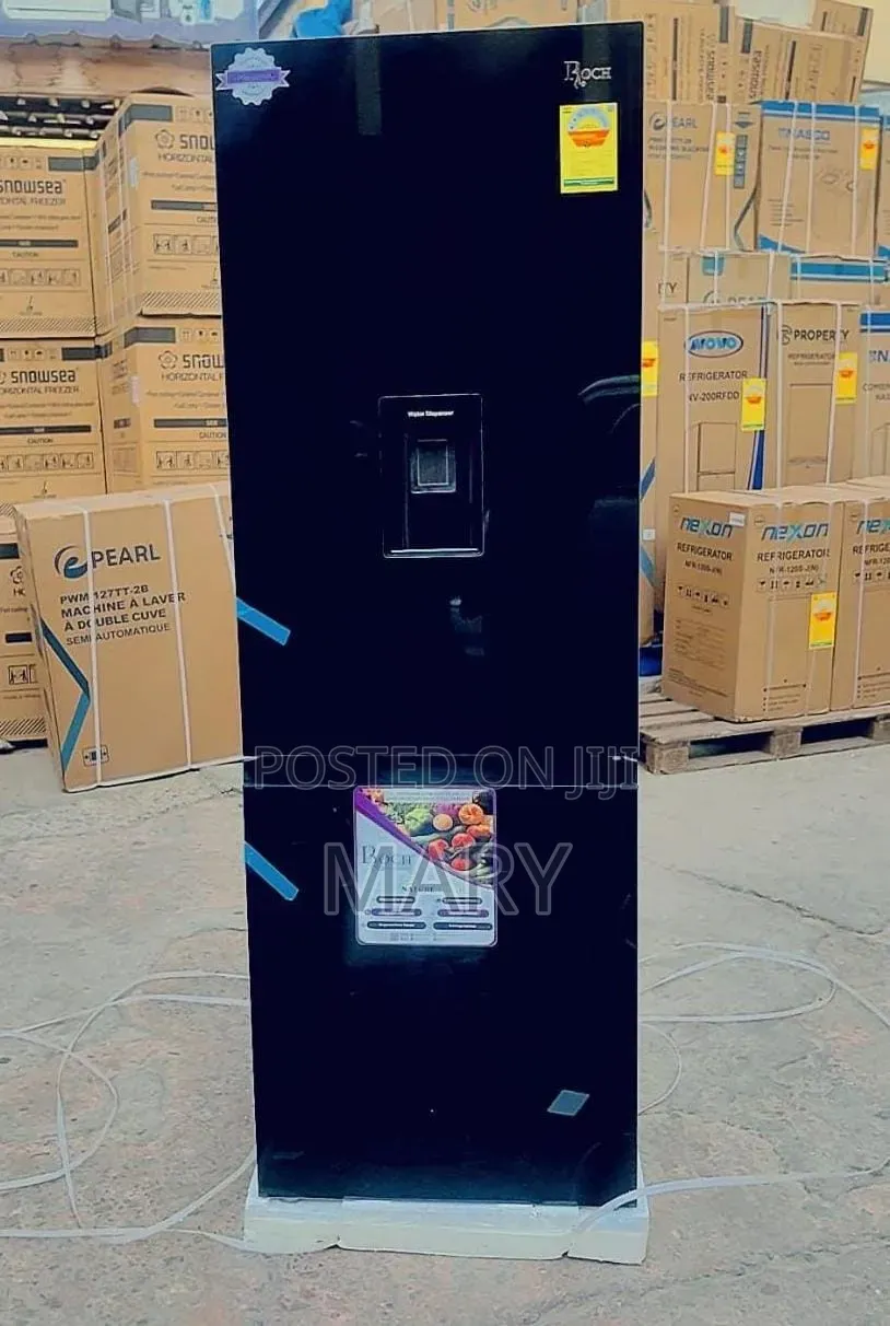 Roch 309L Liters Double Door Fridge