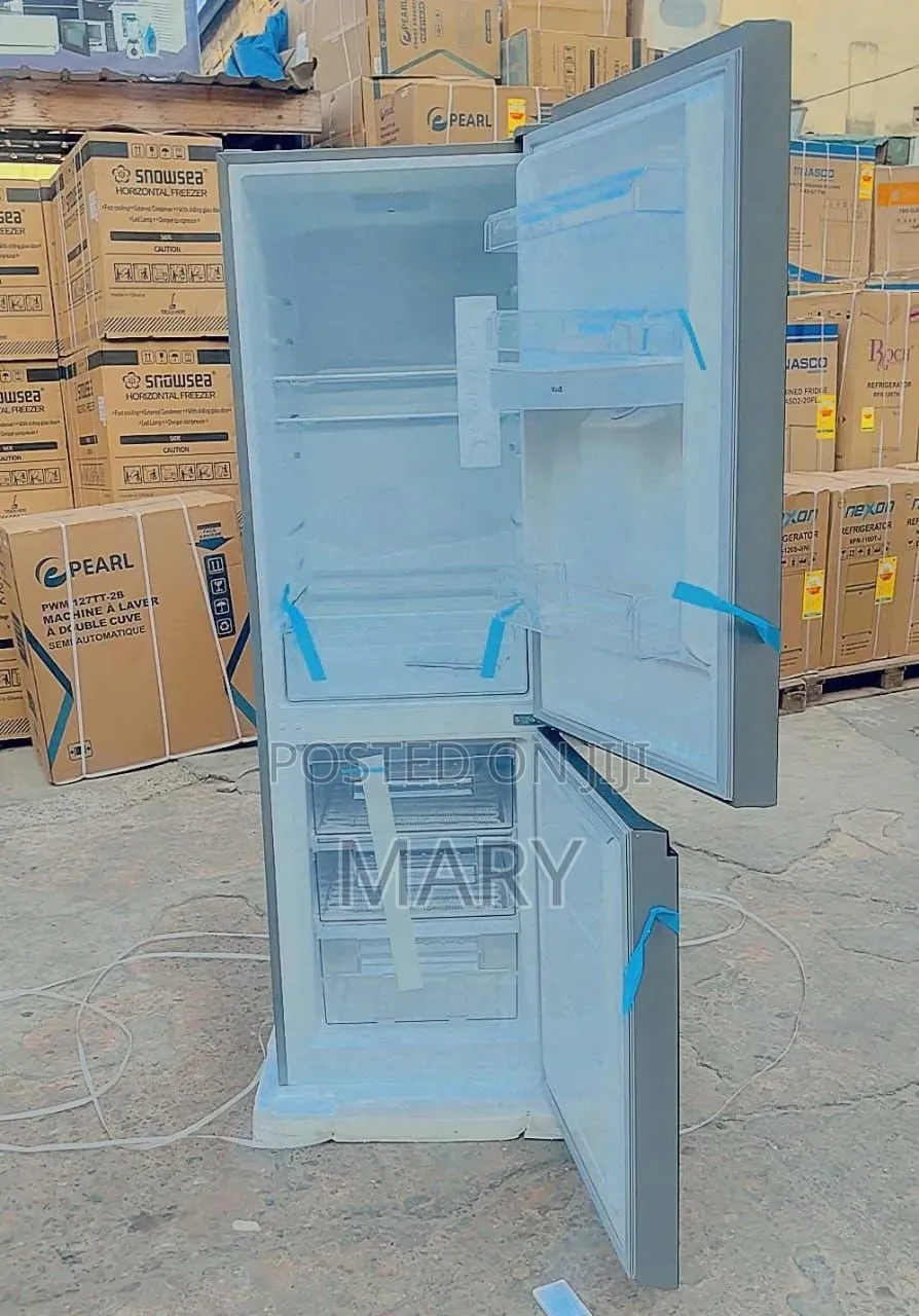 Roch 309L Liters Double Door Fridge