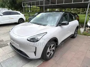 Geely Xingyuan 2026 Beige