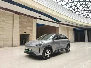 Geely Xingyuan 2026 Gray