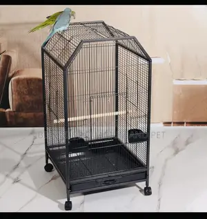 Grade a Parrot Cage With an Open Top