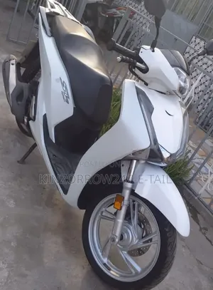 Honda Ignition 2024 White