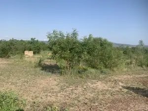 Own a Land