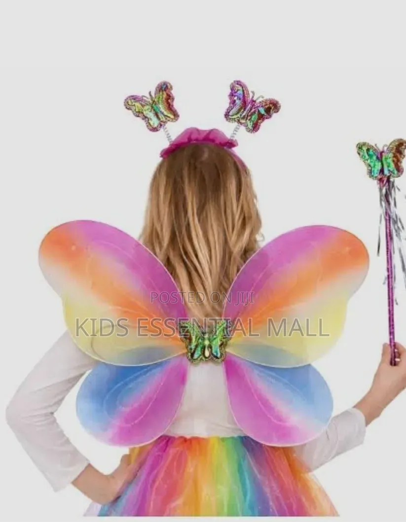 Fairy Princess Costume