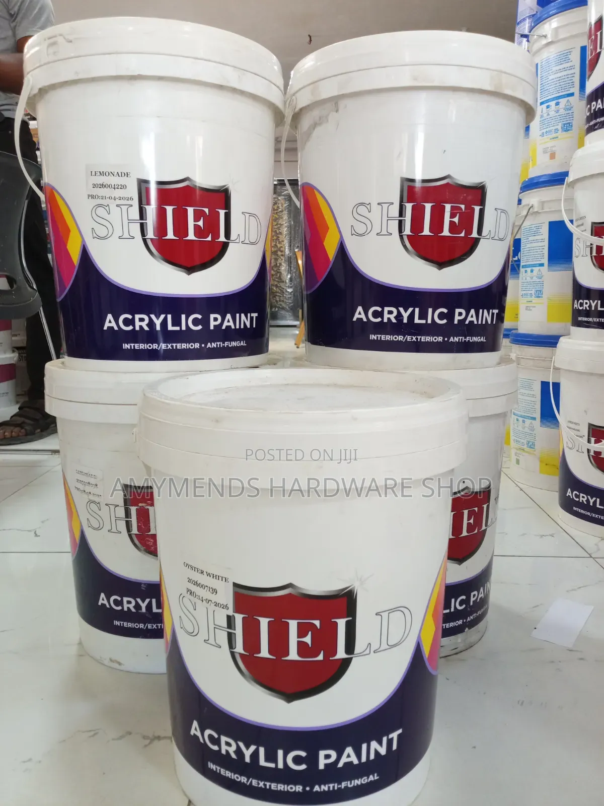 Shield Acrylic Paint Interior and Exterior Anti-Fungal