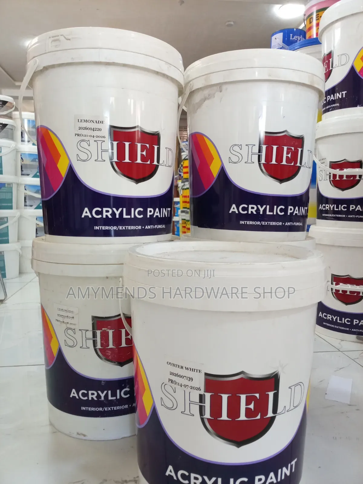 Shield Acrylic Paint Interior and Exterior Anti-Fungal