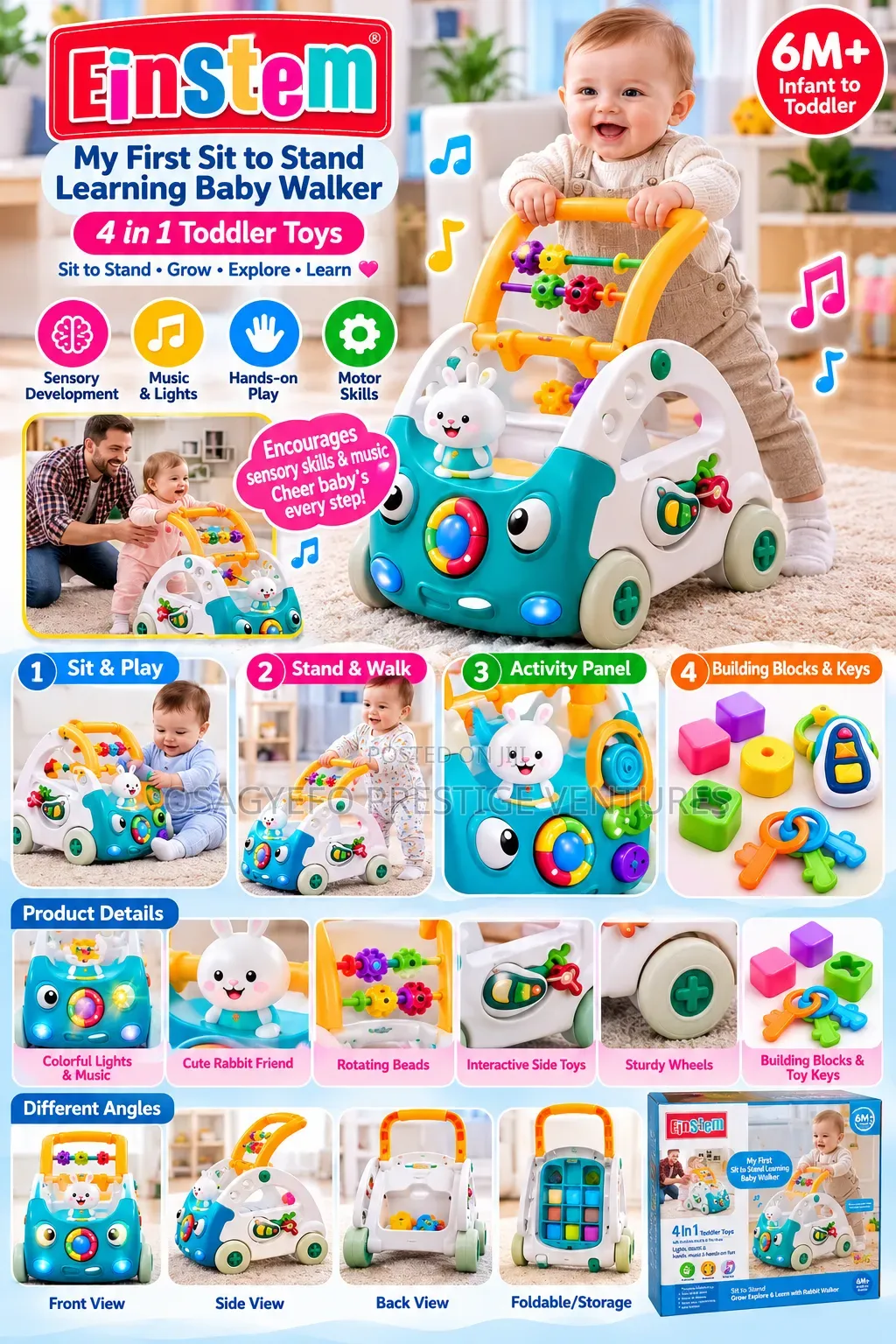 EinStem 4-in-1 Rabbit Baby Walker