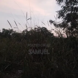 Plot of Land