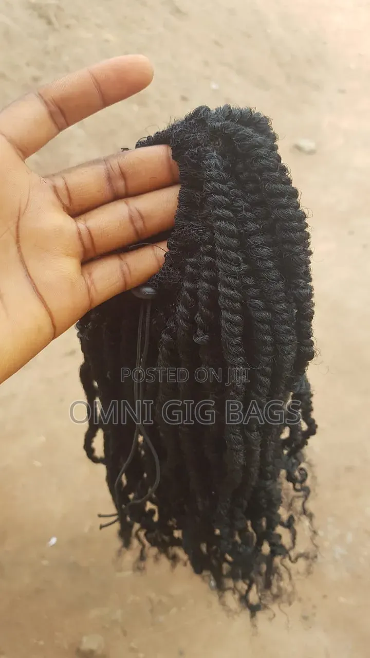 Braided Ponytail