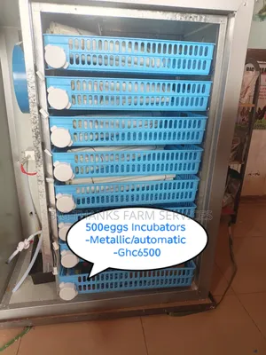 500eggs Automatic Incubators, Metallic