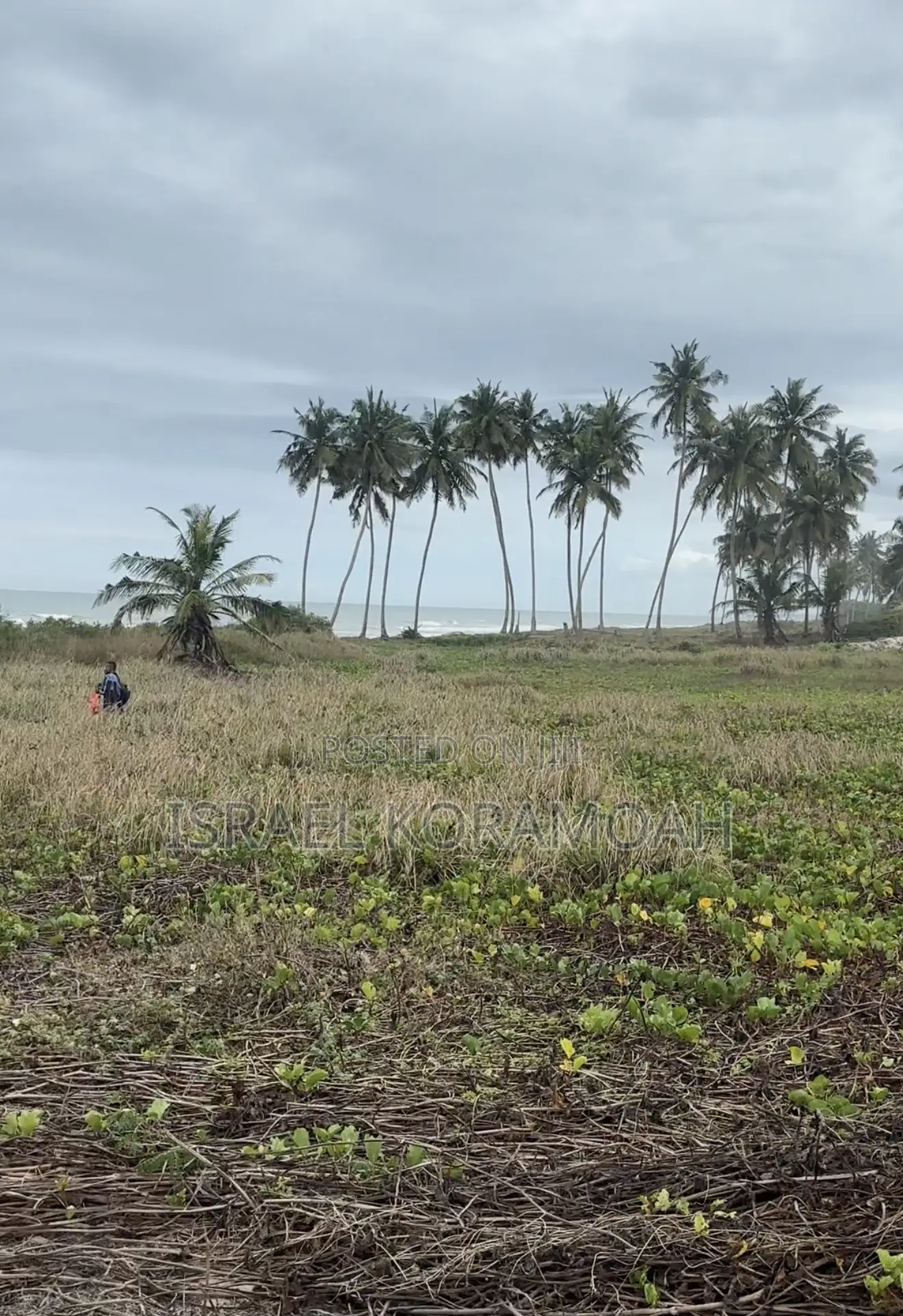 5 Acres of Prime Beachfront Land for Sale