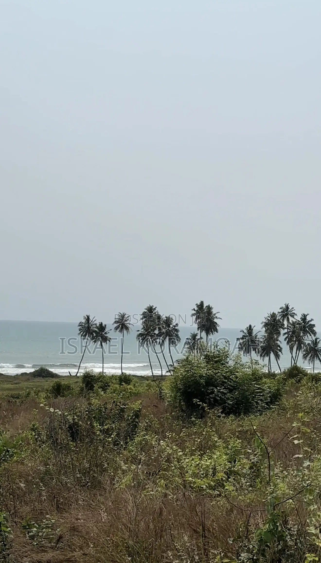 3 Acres of Prime Coastal Land for Sale!