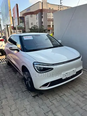 New Dongfeng Nammi Box 31.45 kWh FWD 2025 White