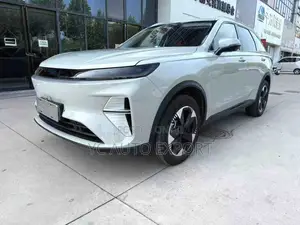 New Haval Xiaolong Max 2025 Silver