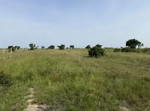 Land and Properties