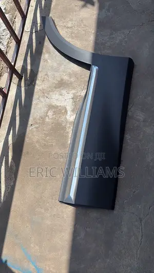 Hyundai Santa Fe 2022 Door Moulding Back Left