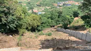 Prime Mountain View Land for Sale – Peduase, Aburi