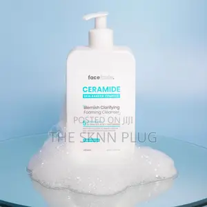 Face Facts Ceramide Blemish Clarifying Foaming Cleanser