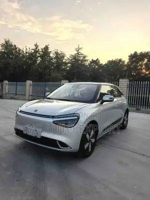 Dongfeng Nammi 01 42.3 kWh 430 Plus 2025 Silver
