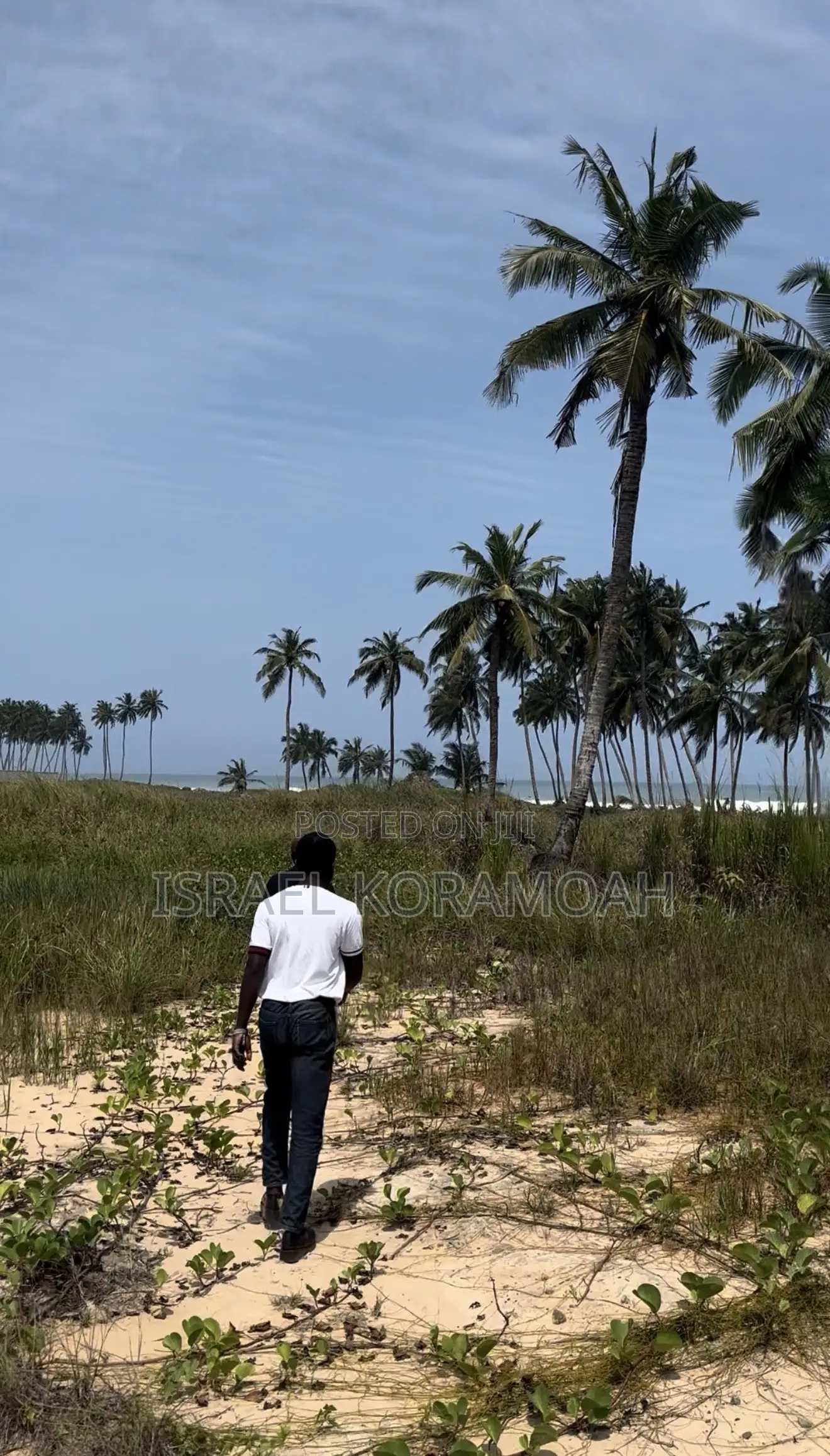 22 Beachfront Plots for Sale!