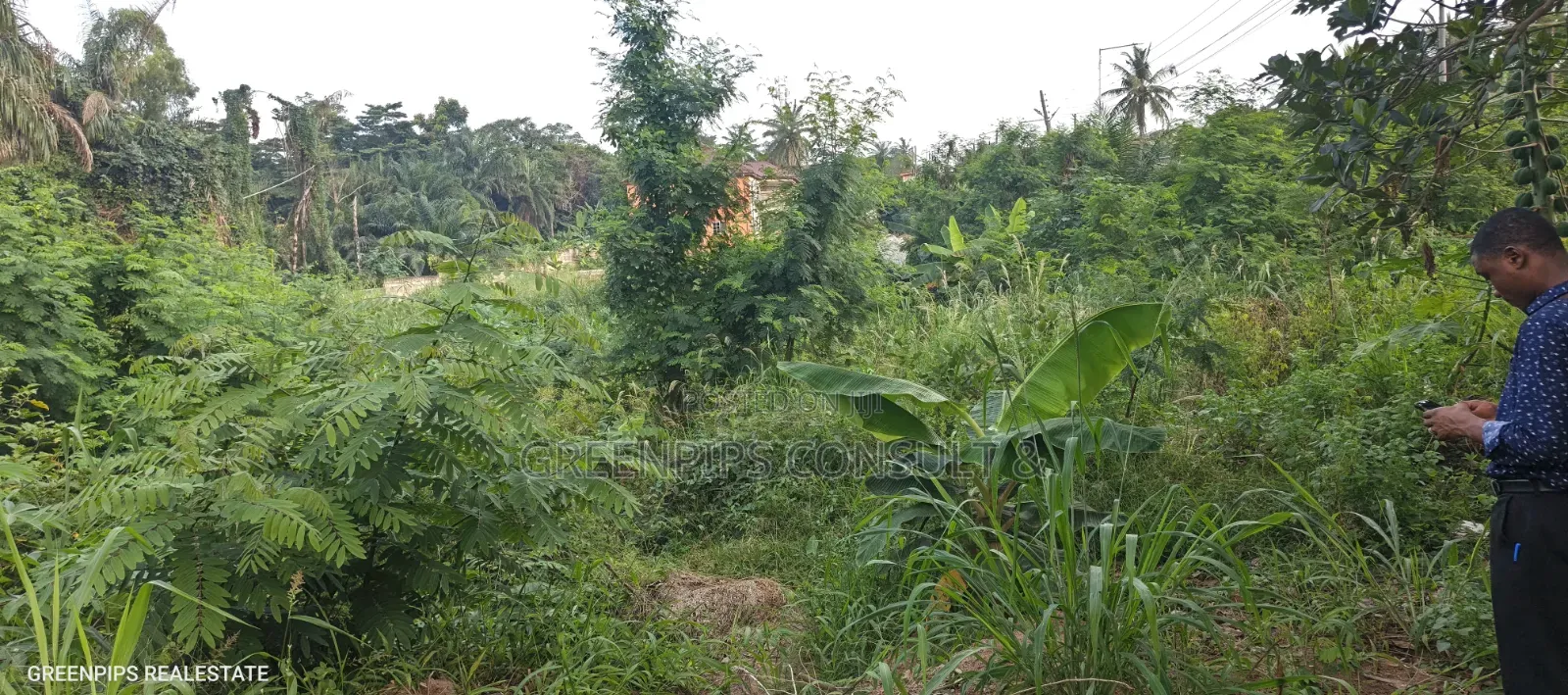 Full Plot at Ahinsan Estate Main Road