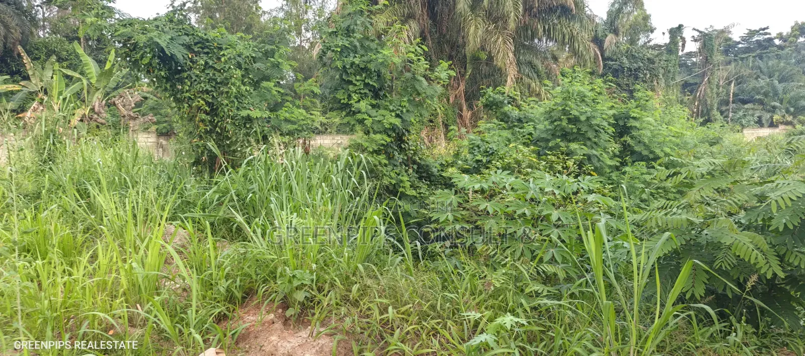 Full Plot at Ahinsan Estate Main Road