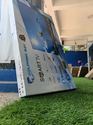 DDolphine Bay Smart Television - Inspiring