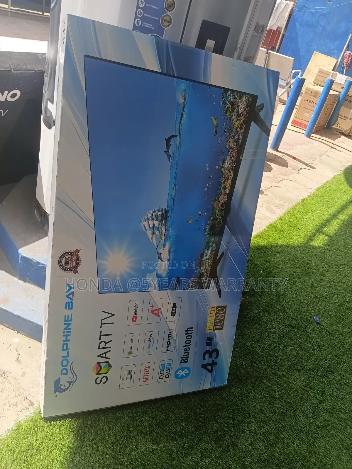 Dolphine Bay Smart Television - A+ Panel