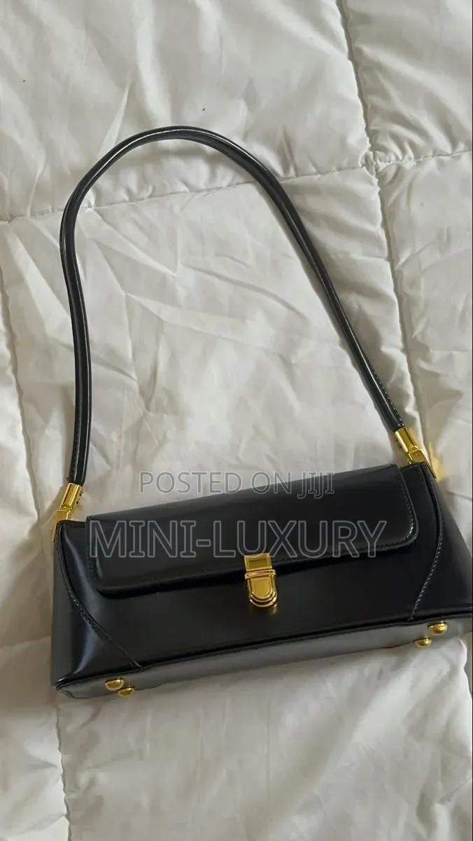 Ladies Handbag