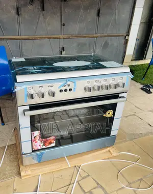 Premium Classic Ferre 60x90cm 1 Electric + 4Gas Cooker,Stainless Steel