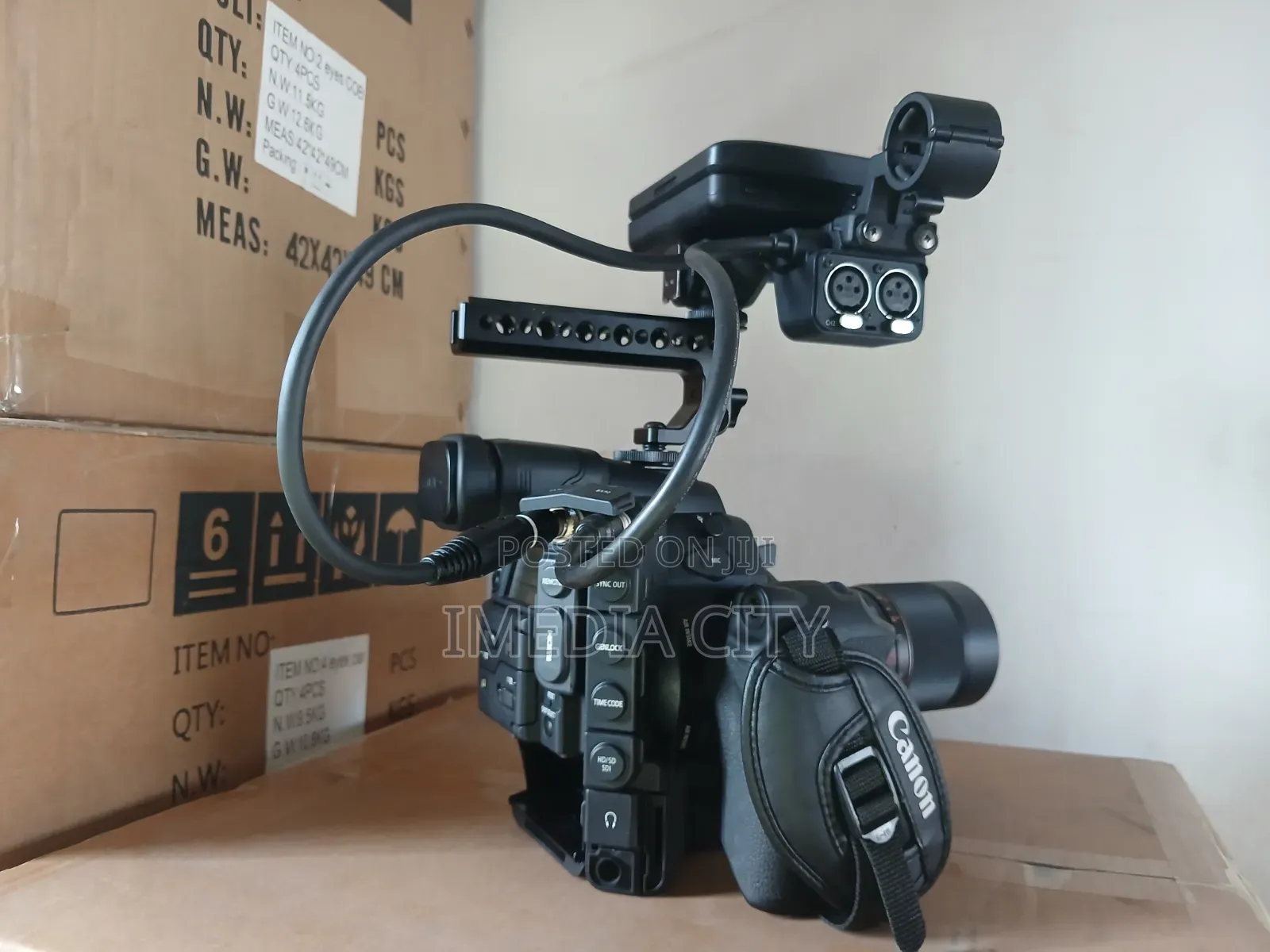 Canon C300 With Cinematic Lens